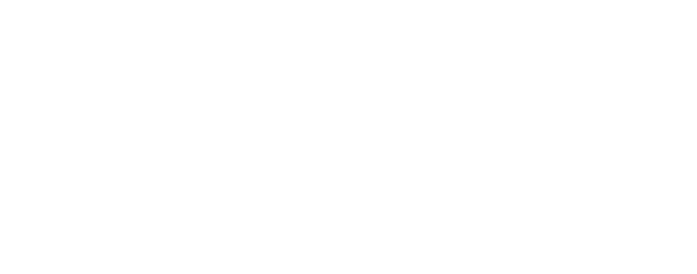 Xalqaro Nordik Universiteti